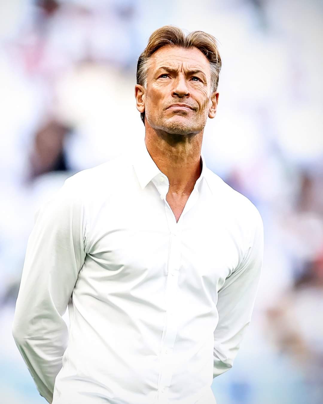 CDM – QATAR 2022 : LES SECRETS D’HERVÉ RENARD POUR BATTRE L’ARGENTINE